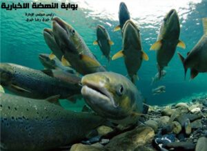 هجرة أسماك السلمون: رحلة مدهشة للبقاء على قيد الحياة